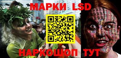 тгк Краснодар