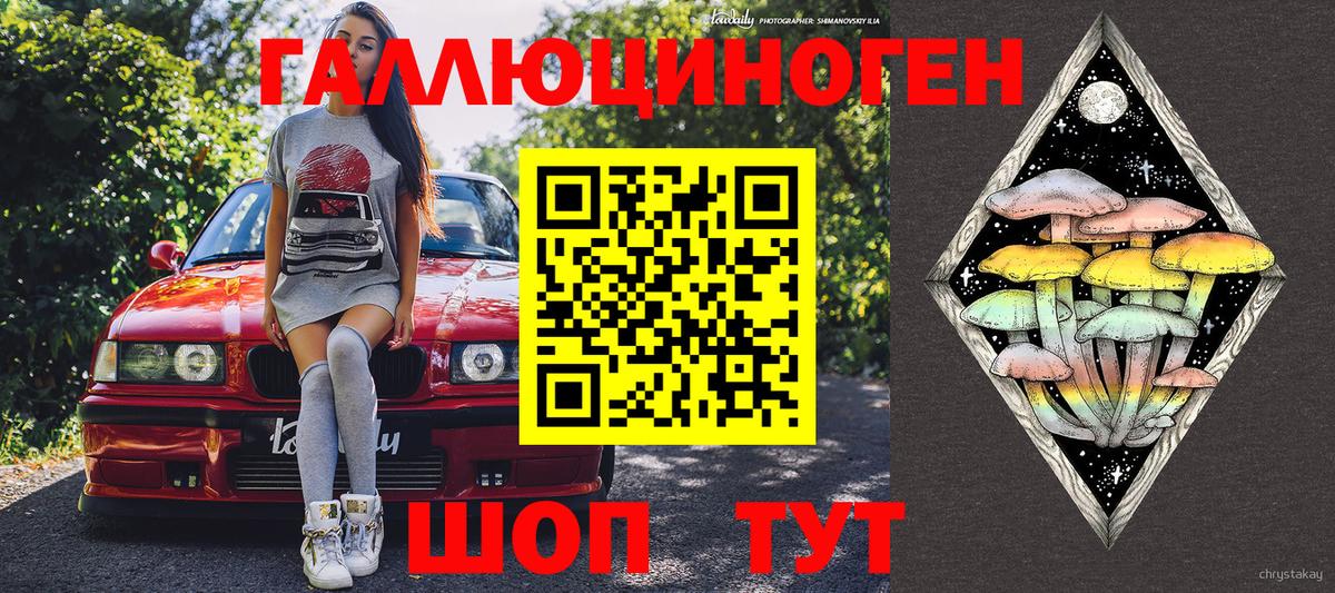 Галлюциногенные грибы Psilocybine cubensis Аксай