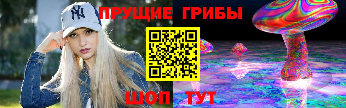 Псилоцибиновые грибы Psilocybine cubensis  Вход с VPN  Аксай 